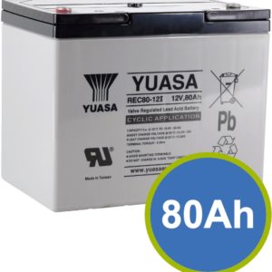 Yuasa REC80-12I (Set of 2)