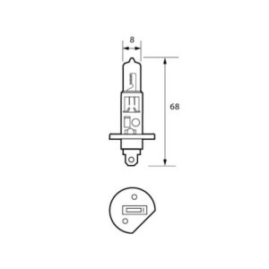 448 12V 55W H1 UV HALOGEN