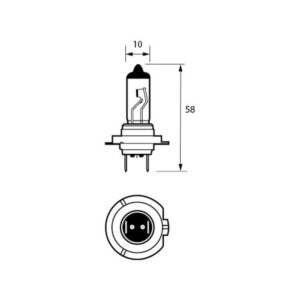 499A 24V 70W H7 XENON