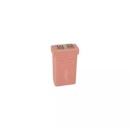 PINK MCASE + TYPE FUSE - 30A